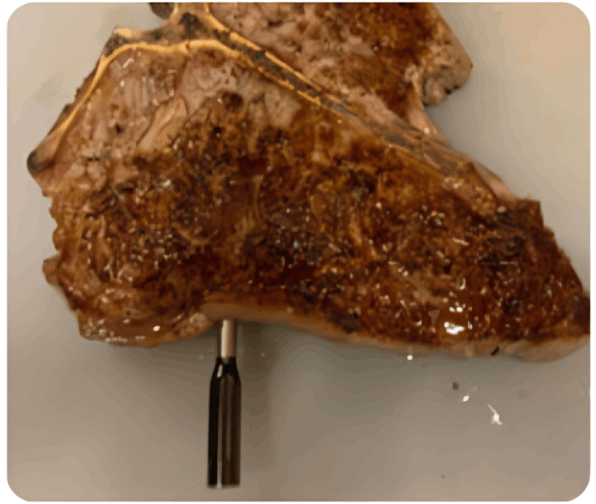 GrillSync user Bob T.